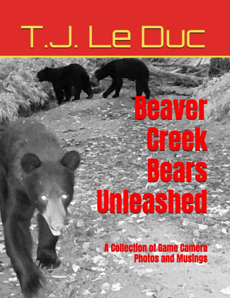 BEAVER CREEK BEARS UNLEASHED: A Collection of Game Camera Photos and Musings