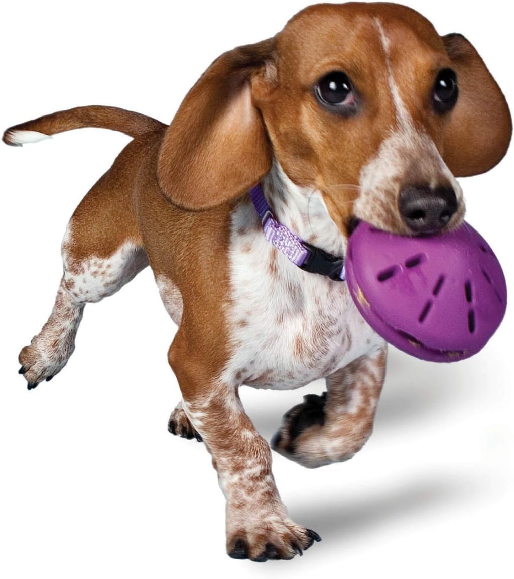 PetSafe Busy Buddy Twist ‘n Treat Dispensing Dog Toy – Small PetSafe Busy Buddy Twist ‘n Treat Dispensing Dog Toy – Small