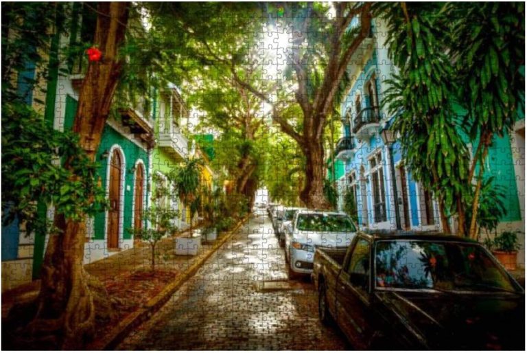 Beautiful Street Full of Trees in Old san Juan Puerto rico Puerto 1000 Piece Wooden Jigsaw Puzzle DIY Children Educational Puzzles Adult Decompression Gift Creative Games Toys Puzzles Home Decor