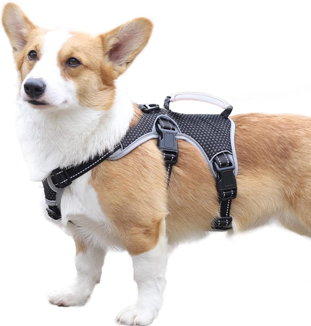 No Escape Dog Harness, Escape Proof Harness, Fully Reflective Harness with Padded Handle, Breathable,Durable, Adjustable Vest for Medium Dogs Walking, Training, and Running Gear (Black, M) No Escape Dog Harness, Escape Proof Harness, Fully Reflective Harness with Padded Handle, Breathable,Durable, Adjustable Vest for Medium Dogs Walking, Training, and Running Gear (Black, M)