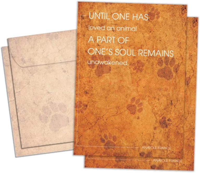 Tree-Free Greetings Pet Sympathy 2 Pack with Matching Envelopes, Eco Friendly, Made in USA, 100% Recycled Paper, 5 x 7, Unawakened Soul (GT65938)