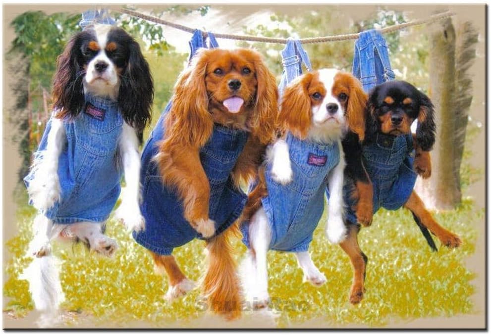 Animal Wooden Jigsaw Puzzles for Adults 1000 Pieces Cavalier King Charles Spaniel Dogs for Kid Fun Puzzle Educational Family Game Toys Adults Home Decoration Colorful Puzzle Gifts Animal Wooden Jigsaw Puzzles for Adults 1000 Pieces Cavalier King Charles Spaniel Dogs for Kid Fun Puzzle Educational Family Game Toys Adults Home Decoration Colorful Puzzle Gifts