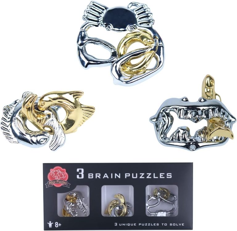 Brain Teaser Puzzle for Adults Puzzles Metal Hole Lock Adult Educational Toy Games for Adults Teens Educational Toy Gift (Silver)